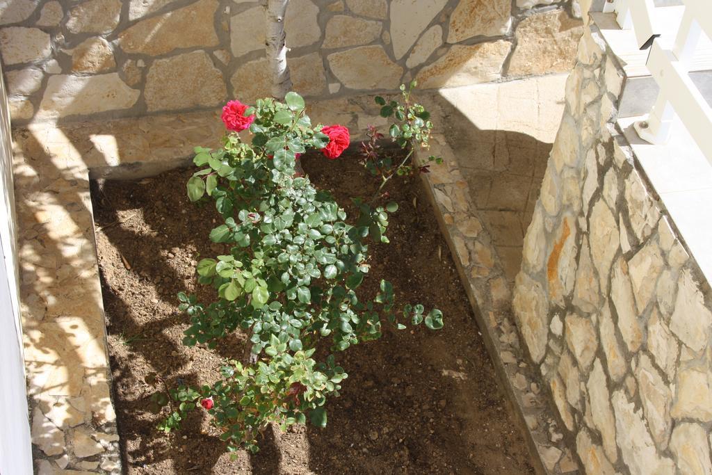 Ferienwohnung Kuca Za Odmor Laura Ražanac Exterior foto